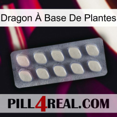 Dragon À Base De Plantes 08